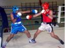 Amateur Boxing Competition in Al Ain