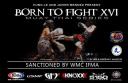 BORN TO FIGHT XVI