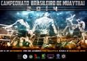 Campeonato Brasileiro 2014